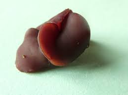 Attēlu rezultāti vaicājumam “Ascocoryne cylichnium”