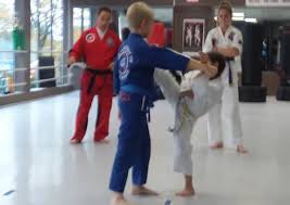 Image result for Bromsgrove Taijutsu Kai Self Defence