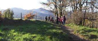 Image result for Chelmsford Rambling Club