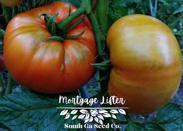 Afbeeldingsresultaat voor mortgage lifter bicolor strain tomato