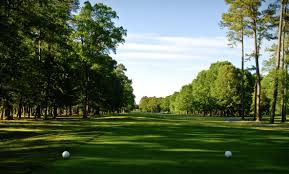 Image result for Lewes Golf Club
