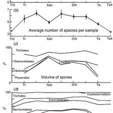 Attēlu rezultāti vaicājumam “Licea pygmaea”