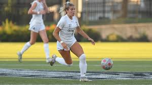 Image result for Wrentham Football Club