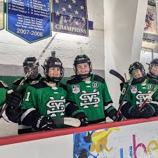 Image result for Stockton Ladies Hockey Club