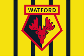 Image result for Watford Rugby Football Club