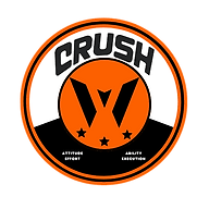 Image result for Caersws Quoits Club