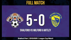 Image result for Shalford F C
