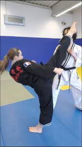 Image result for Chang's Hapkido Club
