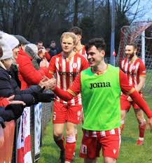 Image result for Redhill Girls Football Club