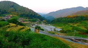 Image result for tanada