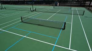 Image result for Meadow Sports Badminton Club