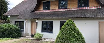 Image result for kaleien