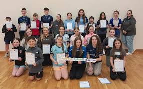 Image result for Ballyhegan Davitts Gaa Club