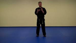 Image result for Vision Martial Arts