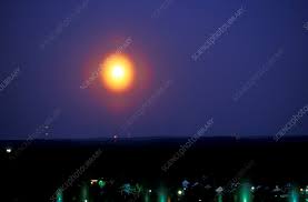 Attēlu rezultāti vaicājumam “pollen corona”