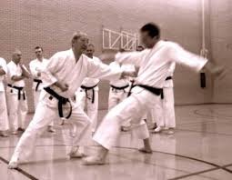 Image result for Reading Karate-Do Shotokai