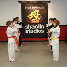 Image result for Martial Art Centre of Excellence
