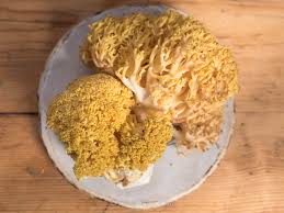 Attēlu rezultāti vaicājumam “Ramaria flava”