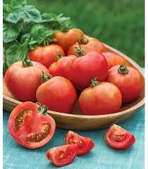 Afbeeldingsresultaat voor kosmonaut volkov 68D tomato