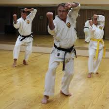 Image result for Norfolk Karate
