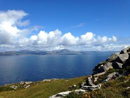 Image result for Cork Rebels