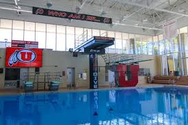 Image result for 243 Diving Club