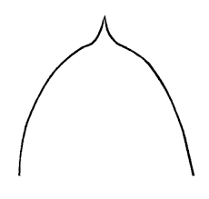 Attēlu rezultāti vaicājumam “Taxiphyllum wissgrillii”