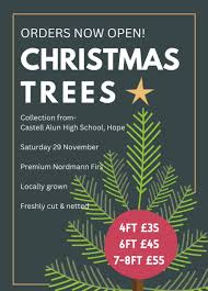 Image result for Castell Alun Bowling Club