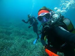 Image result for Seaquest Divers