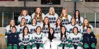 Image result for West Coast Wasps Skater Hockey Club