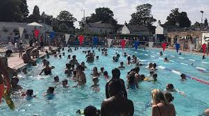 Image result for Feltham Swimming Club