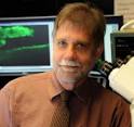 Dr. Paul McNeil
