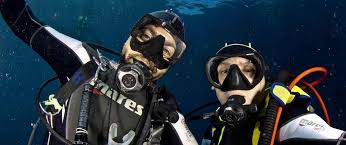 Image result for Manta Divers Sub-Aqua Club