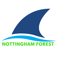 Image result for Sharks Swimming Club Of Mottingham