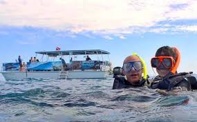 Image result for Belfairs Dolphins Snorkelling Club