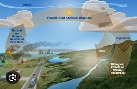 Image result for 光化学SMOG