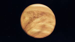 Image result for venus