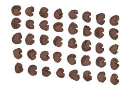 Attēlu rezultāti vaicājumam “Silene wolgensis”