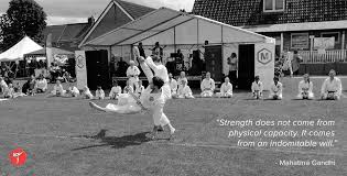 Image result for Haxby karate club