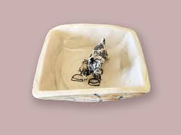 Image result for Barking & District Bowls Club