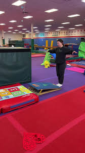 Image result for Little Tricks Gymnastics - Pre-School and Play Gym
