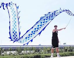 Image result for BARNET and WHETSTONE CHANGQUAN FLYING DRAGON