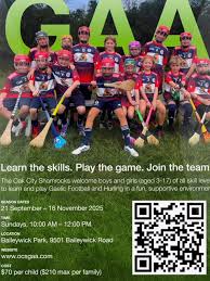 Image result for Shamrocks Hurling & Football Club