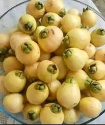 Attēlu rezultāti vaicājumam “Primula farinosa fruit”