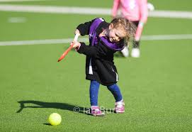 Image result for Pelicans Hockey Club