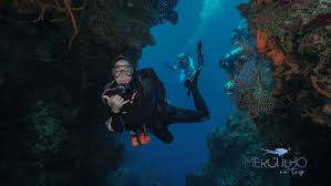 Resultado de imagen para cozumel dive