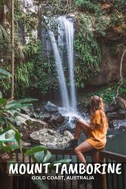 「Mt. Tamborine」的圖片搜尋結果