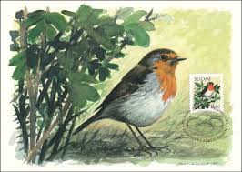 Attēlu rezultāti vaicājumam “Erithacus rubecula nest”