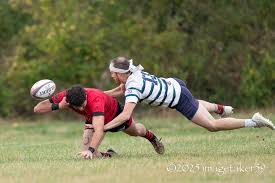Image result for St Mary's Old Boys Rugby Football Club