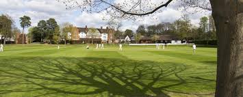 Image result for Reed Cricket Club